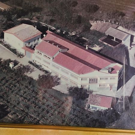 La Nursery De Mas Guillo San Quintin de Mediona Экстерьер фото